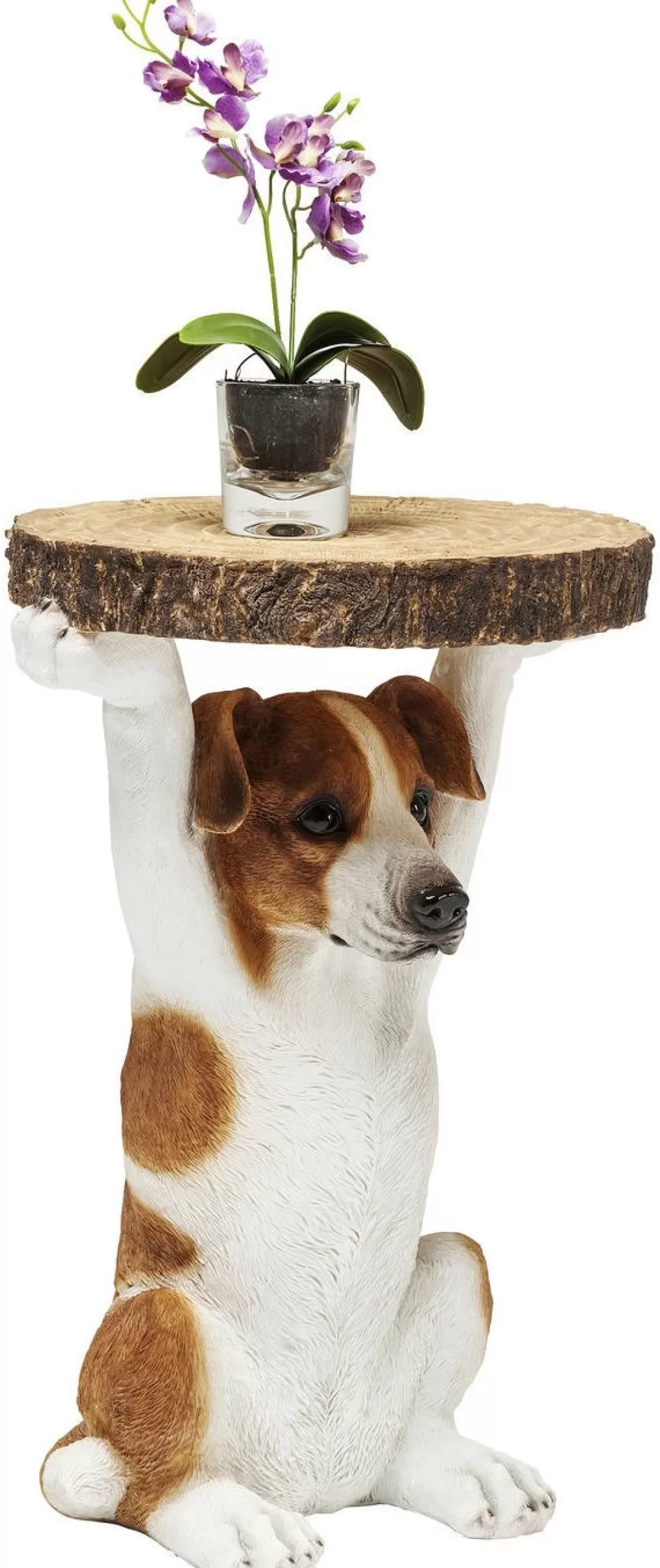 Table d'appoint design Mr. Jack avec motif chien - KARE Design - Diamètre 33 cm - Décoration élégante pour salon moderne