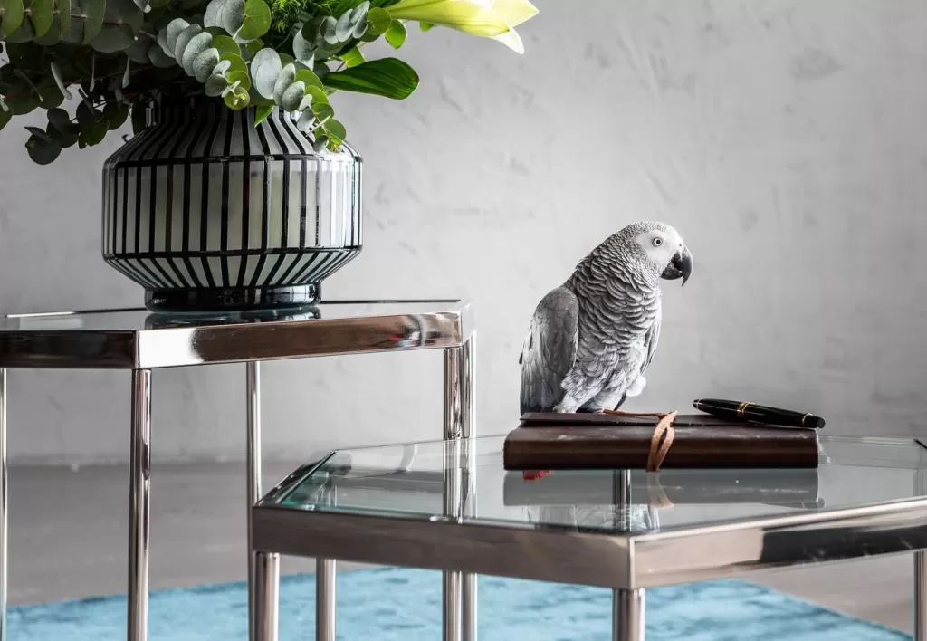 Table basse moderne Comb - Design scandinave argenté 45 cm par KARE, idéale pour décoration contemporaine