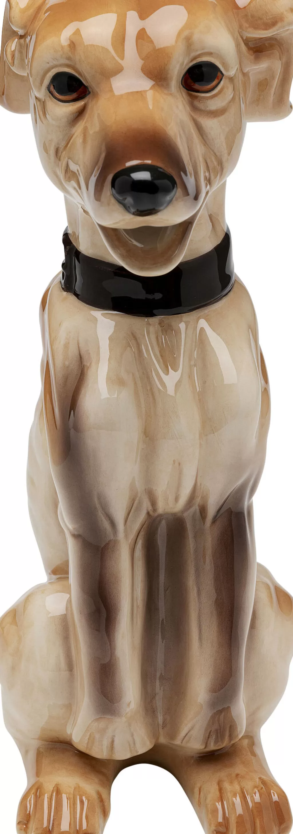 KARE Design - Cuillère Drôle pour Animaux 
