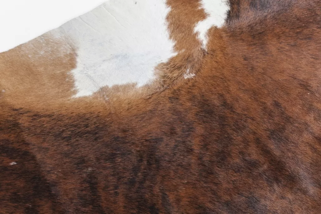 Tapis en cuir véritable KARE Design | Motif contemporain marron et crème - Dimensions sur mesure 232 x 255 cm