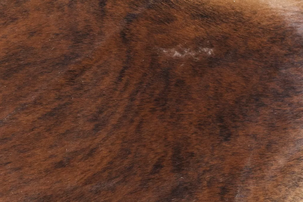 Tapis en cuir véritable KARE Design | Motif contemporain marron et crème - Dimensions sur mesure 232 x 255 cm