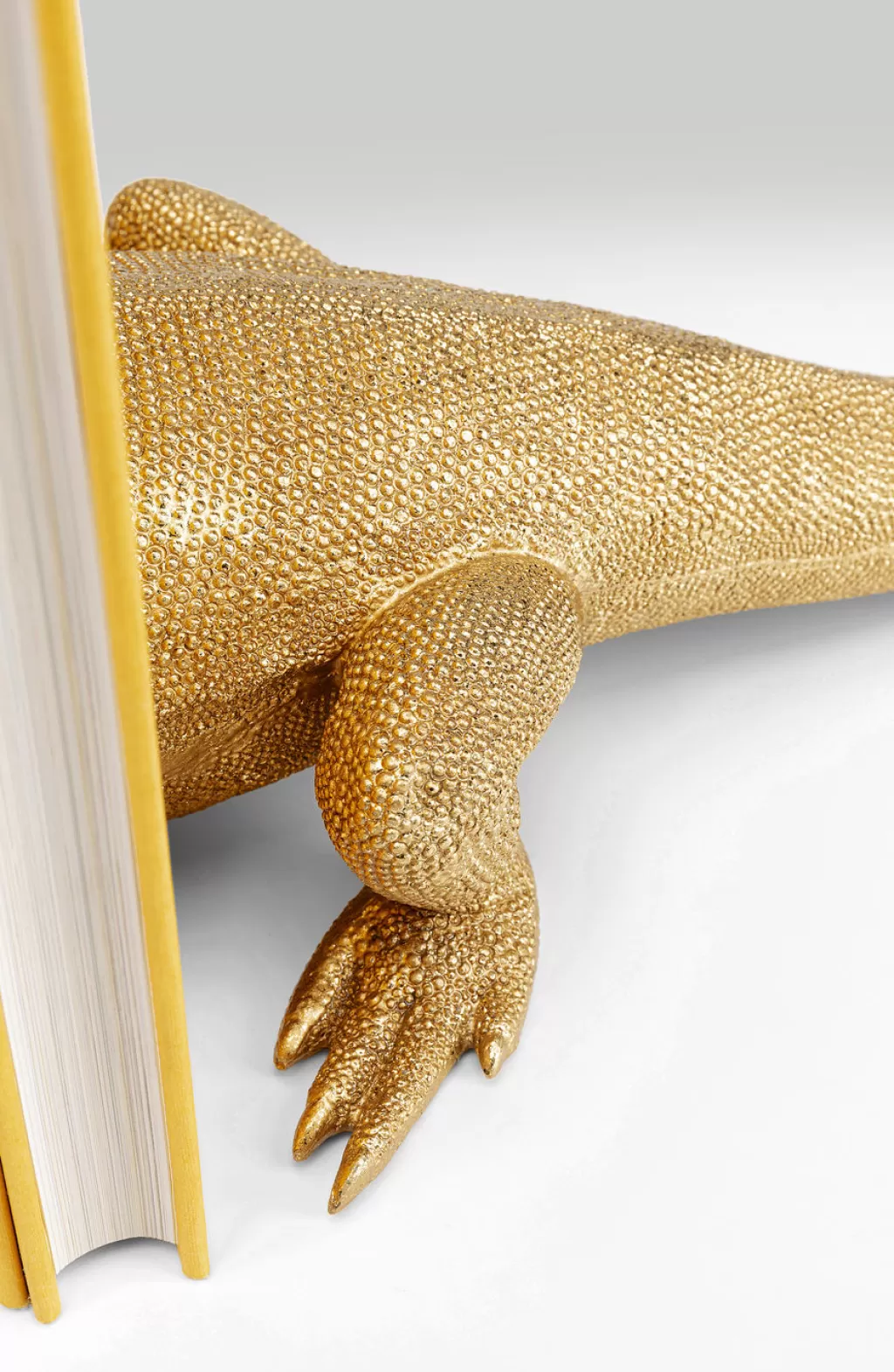 Soutiens-livres design Lézard - Lot de 2 - Création exclusive KARE