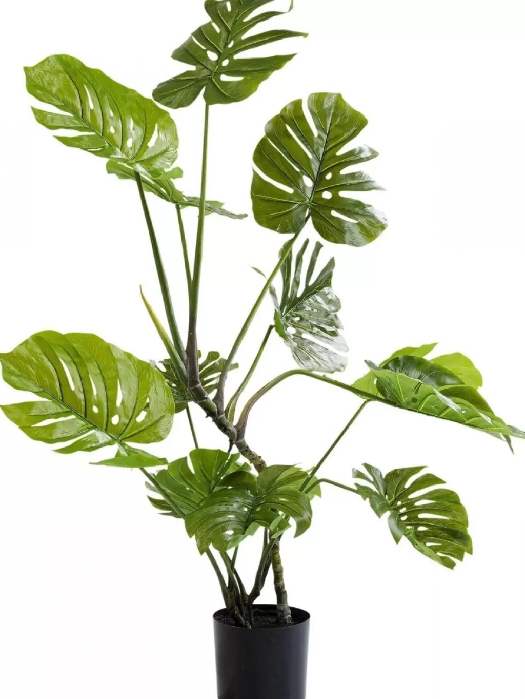 Plante Artificielle Décorative Monstera Deliciosa 110 cm - Design Élégant par KARE, Faux Feuillage Luxuriant pour Décoration Intérieure Sans Entretien
