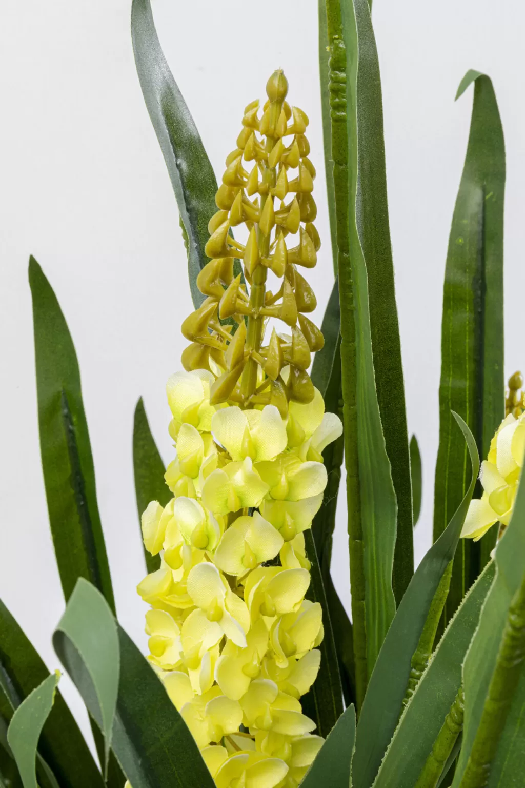 Plante Verte Rhynchostylis Élégante 1,5m - Création Design KARE pour Déco Contemporaine